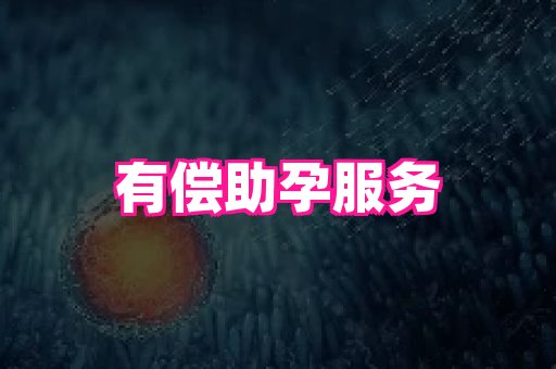 swisee孕网 1
