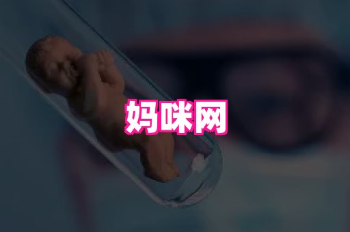 swisee孕网 3