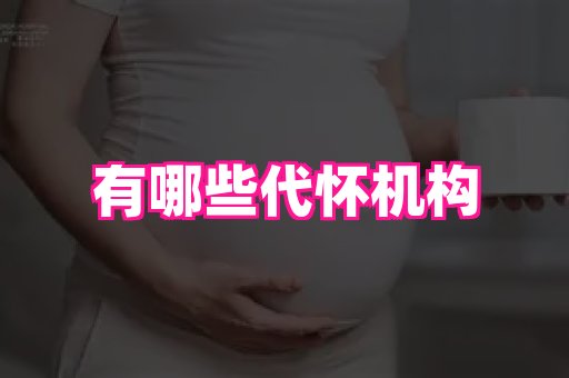 swisee孕网 4